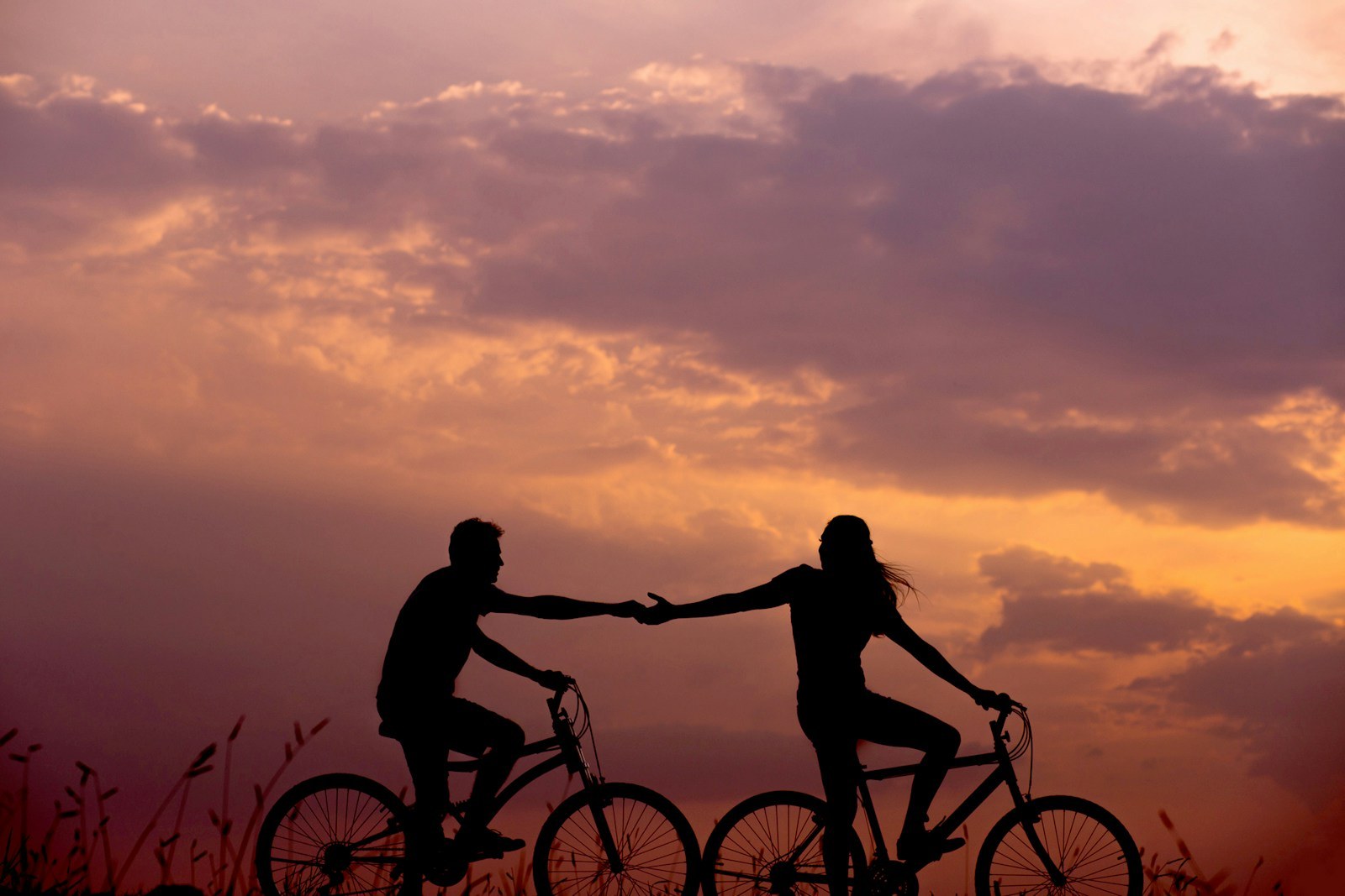 Couple riding bicycles together in a new relationship