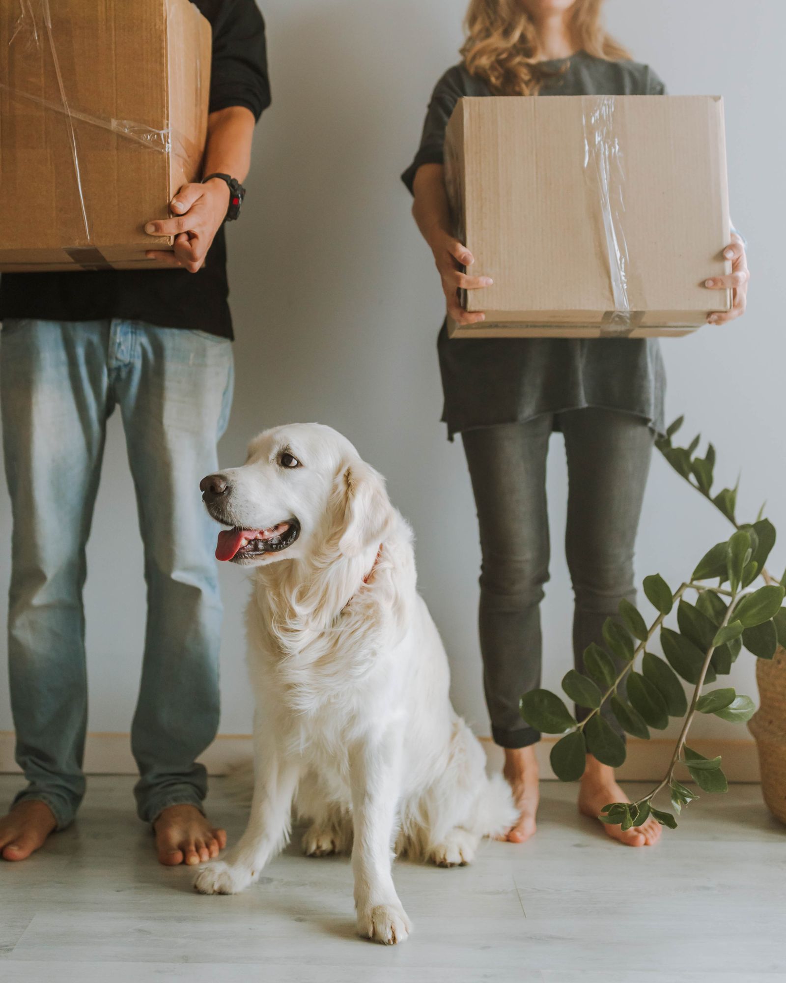 Couple planning how a pet would fit into their home and future