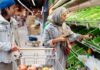 Couple checking a shared grocery list while shopping in a supermarket