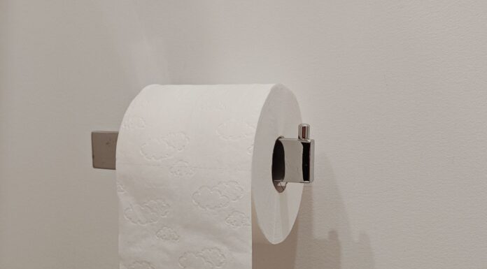 Toilet paper roll on a holder in a bathroom