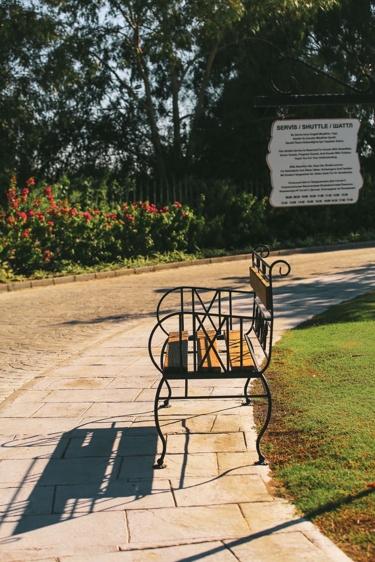 Empty park bench beside a sunlit pathway surrounded by trees and flowers
