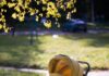 Empty yellow baby stroller on grass in a sunlit park