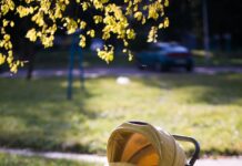Empty yellow baby stroller on grass in a sunlit park