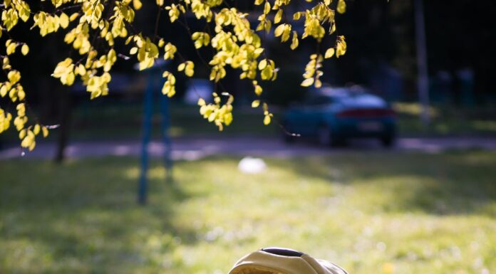 Empty yellow baby stroller on grass in a sunlit park