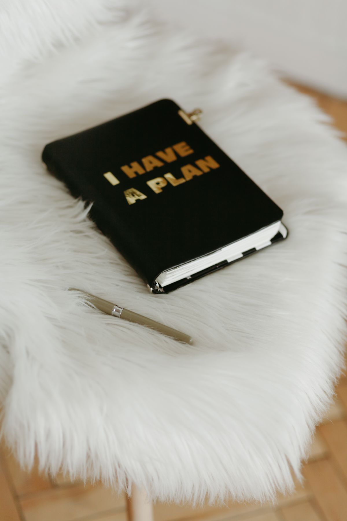 Black notebook marked I Have a Plan beside a white pen on a cushioned chair