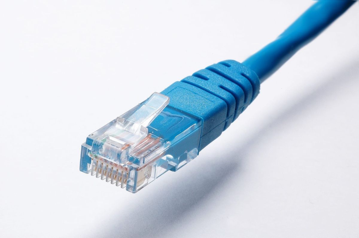 Blue Ethernet cable connector resting on a white surface