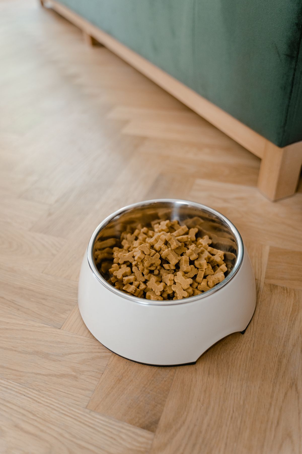 Stainless steel bowl filled with dry dog food on a wooden floor