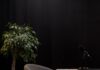 Empty gray chair beside a black table and a houseplant