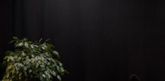 Empty gray chair beside a black table and a houseplant
