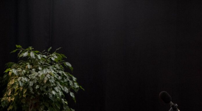Empty gray chair beside a black table and a houseplant