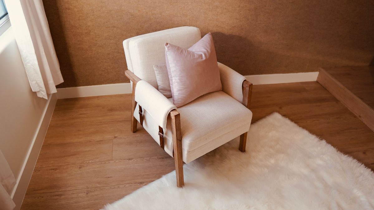 Armchair with a cushion in a modern room