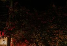Seeing Your Couples Therapist in Public: How to Handle a Chance Encounter Outdoor cafe seating and illuminated signs at night